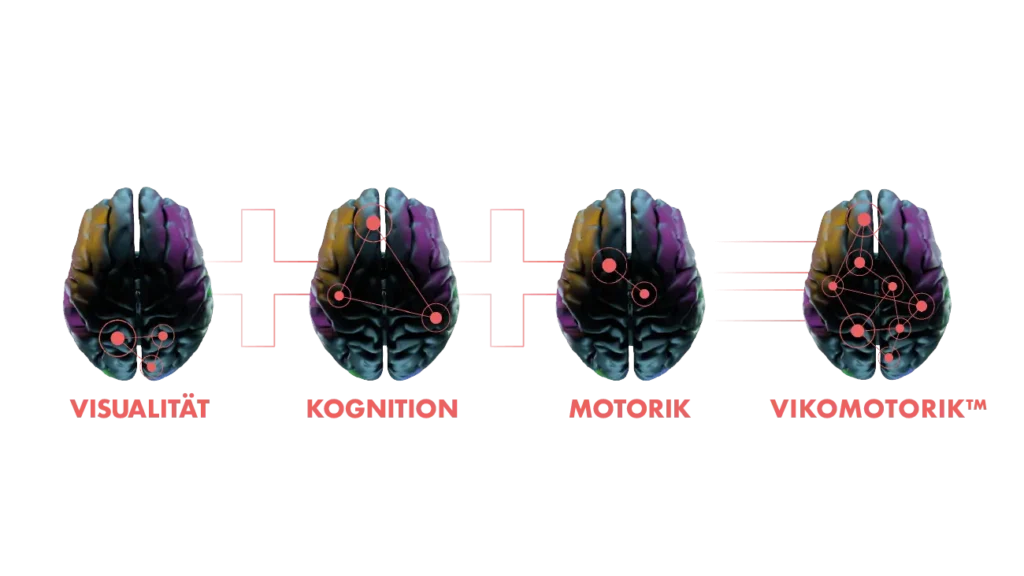 Die Grafik zeigt die Areale im Gehirn, die beim Vikomotorik Training angesprochen werden - eine Kombination aus Visualität, Kognition und Motorik